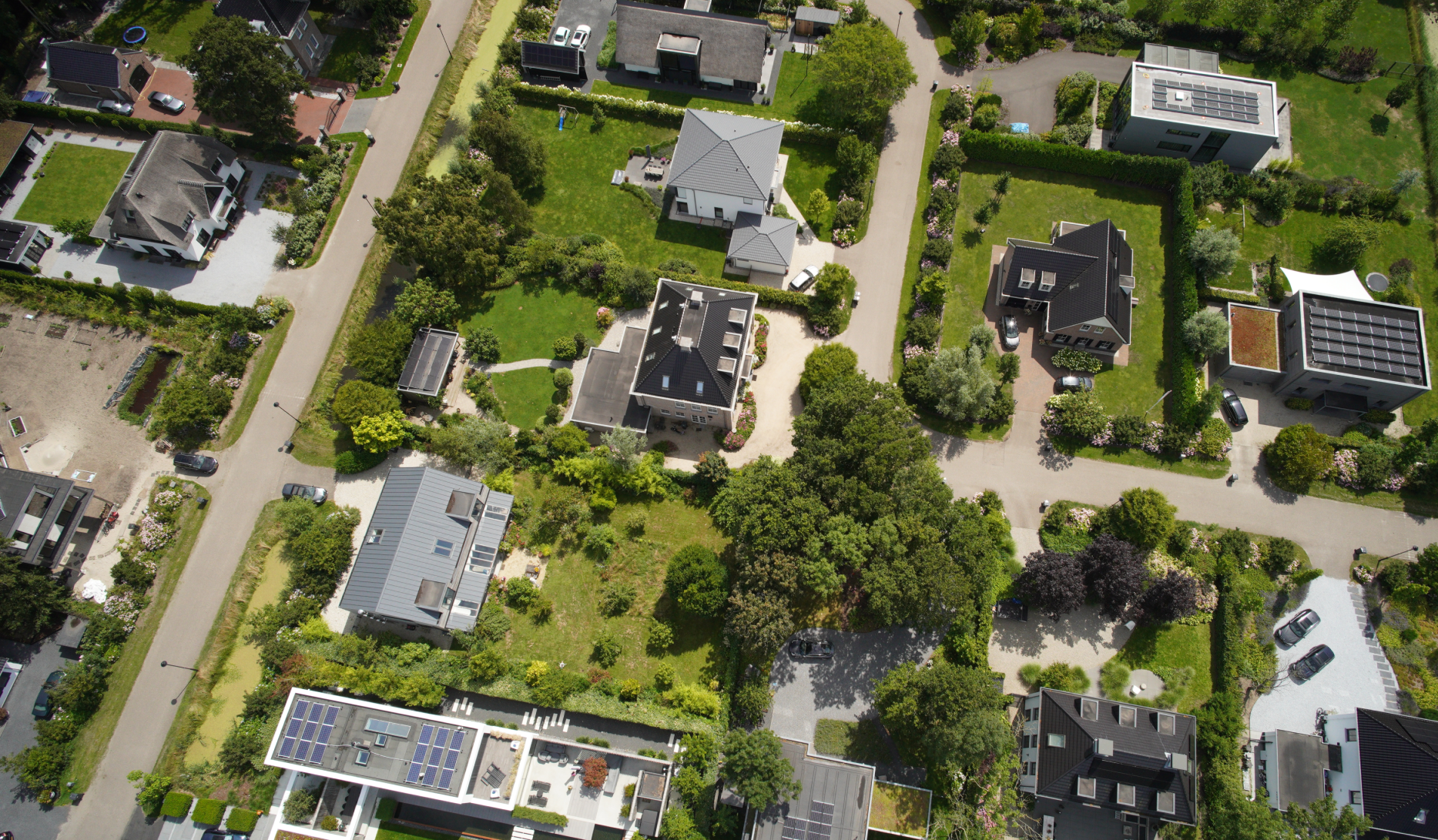 Image captured by Marlyn Cobalt equipped with Sony a6100